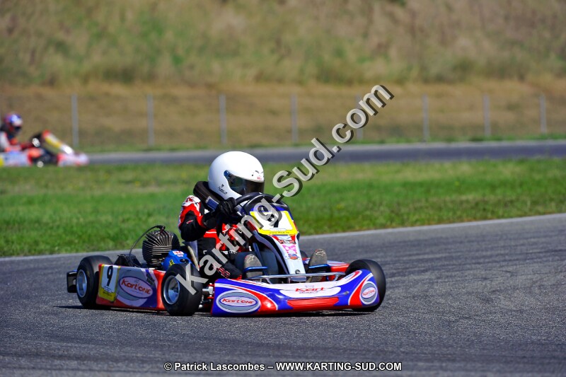 DSC_ (1323).jpg